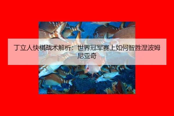 ding-li-ren-kuai-qi-zhan-shu-jie-xi-shi-jie-guan-jun-sai-shang-ru-he-zhi-sheng-nie-bo-mu-ni-ya-qi-2-103.jpg