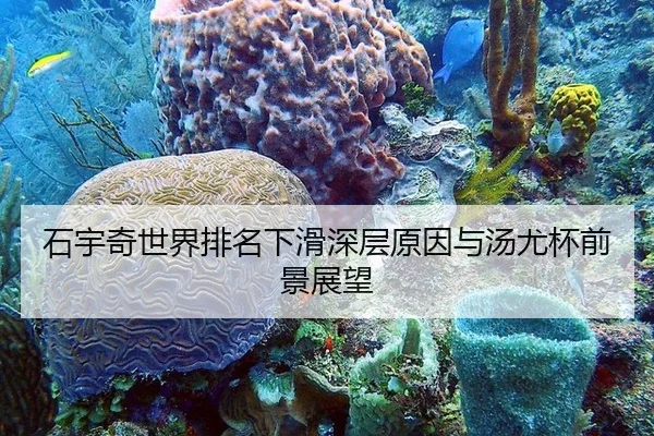石宇奇世界排名下滑深层原因与汤尤杯前景展望