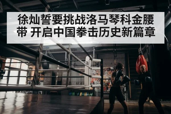 boxer training