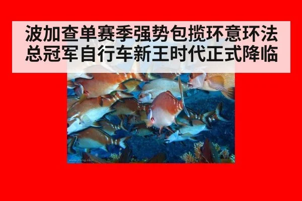 波加查单赛季强势包揽环意环法总冠军自行车新王时代正式降临